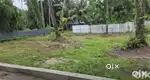 തങ്കി കവല ബിഷപ്പ് മൂർ സ്കൂളിന് സമീപം 6cent  2.50 Lakh