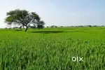 Best in price