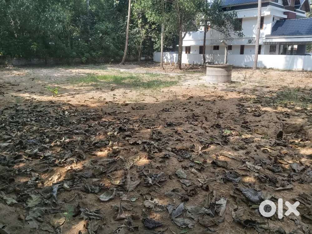 15 cents land for sale