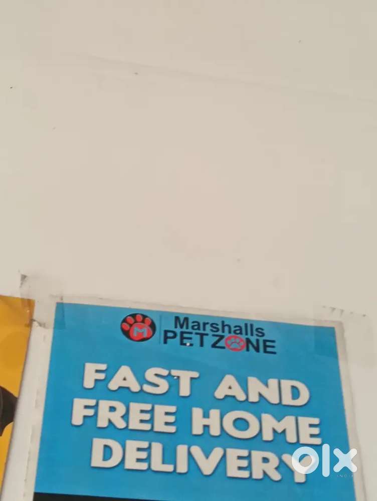 Marshalls pet zone kurmannapalem