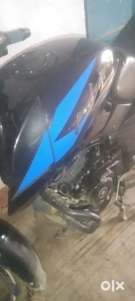 Bell maintenance and good condition