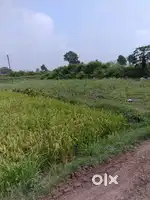 6 Gunthe Land for sale in Nanegao Village, Near Bhagur-Deolali Camp
