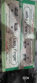 Brand new packed Surya Lady Finger 2 stove gas chullah