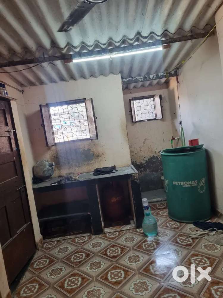 Sharing ,pg & bachlor  room on rent