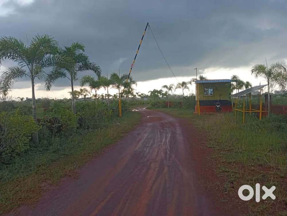 Plot for sale in Bhubaneswar patrapada yellow zone gharabari plot
