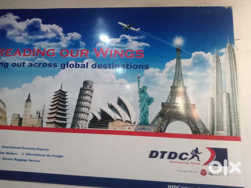 Dtdc courier executive