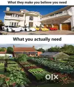 Finance guide