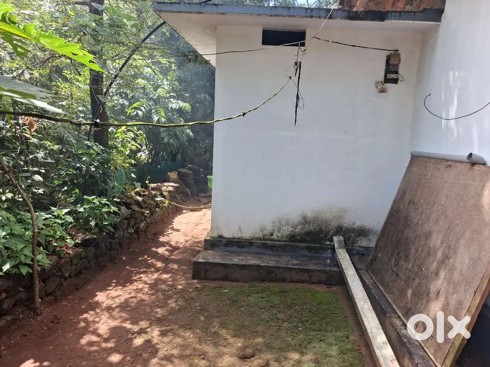 Emergency sale my house