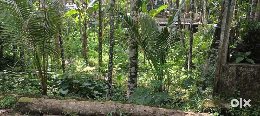 Plot for Sale 5.5 cent