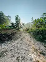 9.5 cents plot for sale Near Lourdes Mount Higher Secondary School