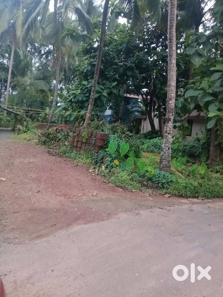 സ്ഥലം വില്പനയ്ക്ക് 70000/സെൻ്റ്