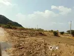 PLOTS!! For Sale in Navelim Mandopa Peaceful Location
