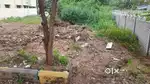 Plot for sale
