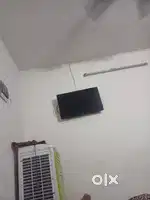 Needed Room Partner