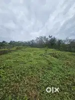 12 cent Housing Plot at vellora kuttur