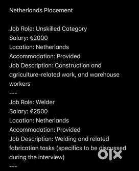 Immigration services