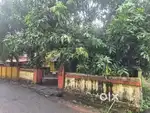 8 cent Residencial Land Thiruvambady Temple  patturaikkal Thrissur