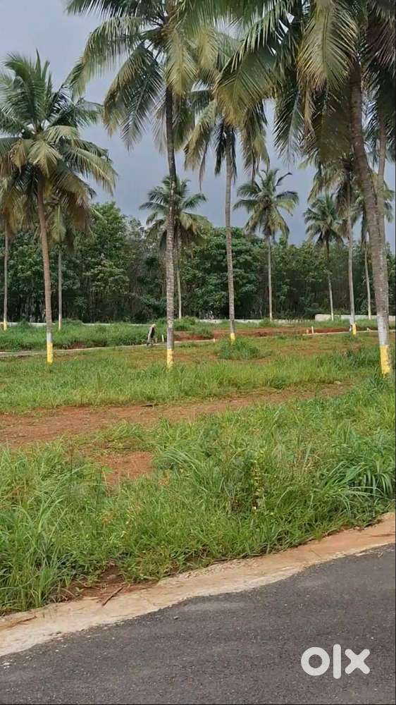 9 Cent House plot for sale in Viyyakurissi,Palakkad