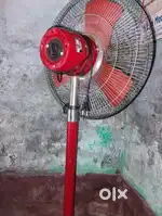 Fan  2025 model