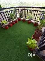 Artificial Grass For Sale