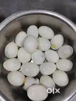 South indian helper and parotta master wanted