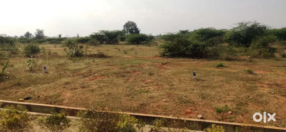 30*50 East Facing site for Sale Urgent