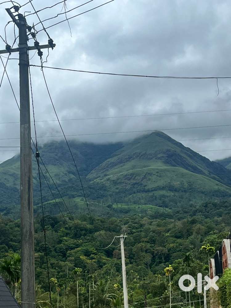 Wayanad vythiri near 20.5 cent open chembra peak view property selling
