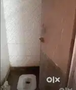 Require 1 Room mate only for girls