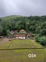 100 ACKRS COFFEE ESTATE FOR SALE