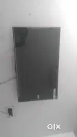 TCL only 2 month old smart led