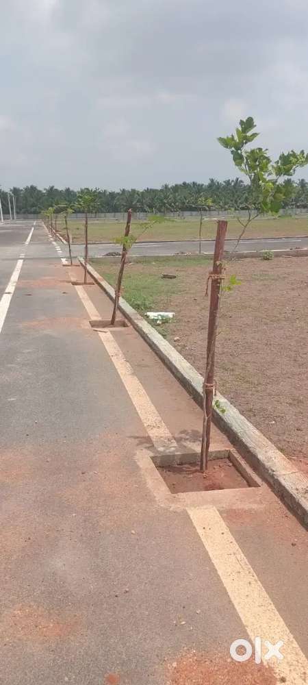 Vaiyampalayam- Farm Land