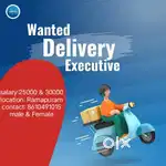 Delivery executive