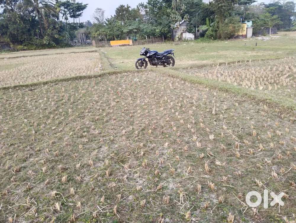 14 বিঘা জমি বিক্রয় হইবে, জোধ জমি।