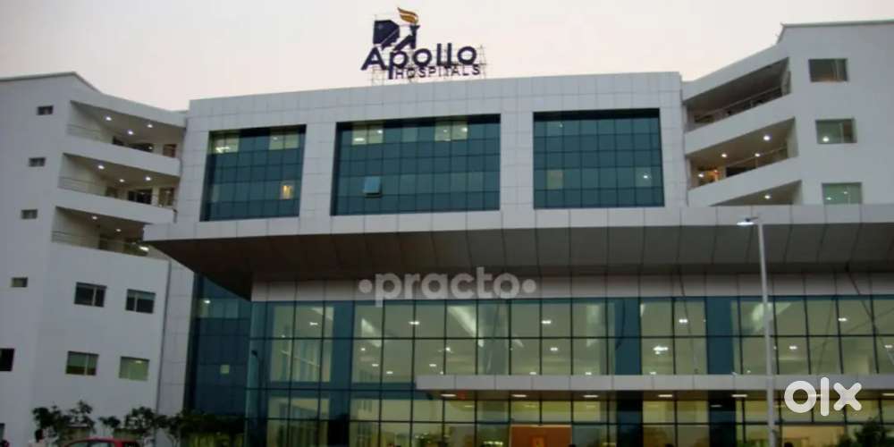 Who looking freshers ready for work  only for girls