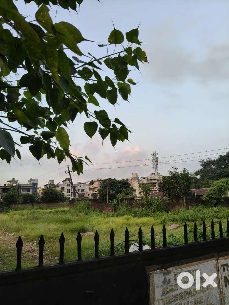5 Bigha Land for Sale at Baishista Chariali
