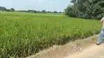 4.5 kanal near bharatmala