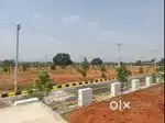 AGRICULTURE LAND