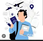 Freelancer Visa Consultant
