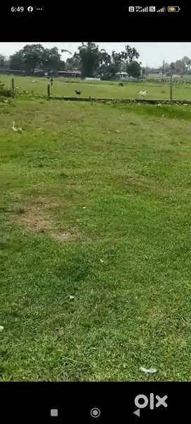 1 katha of land bhal bari land highway land with 38 feet wide