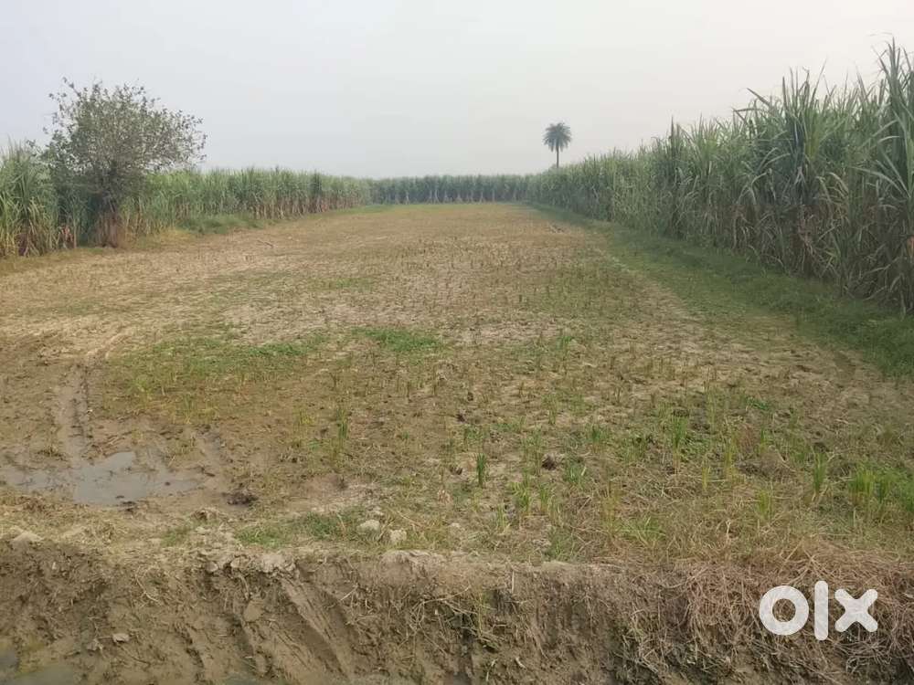 Agriculture land near highway