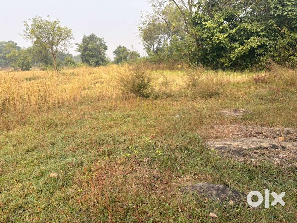 Near new bustand nayagarh