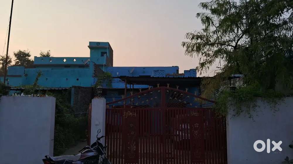 Urgent sell House with land