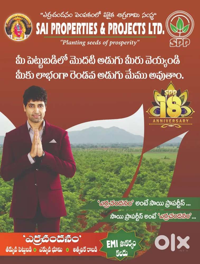 1/4 acer agriculture land with Red sandal wood plants for sale