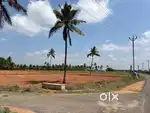 Land / Agricultural land