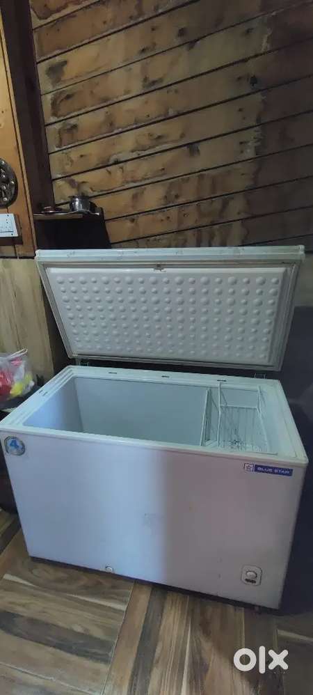 BLUE STAR Deep frizzer