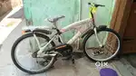Brand new cycle