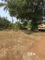 6cent Plain plot