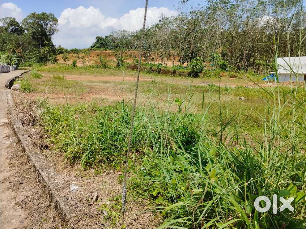 Land for sale in Kunnappilly, Peruva, Kottayam
