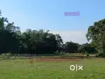 32 lesa plot in balikaria Nalbari