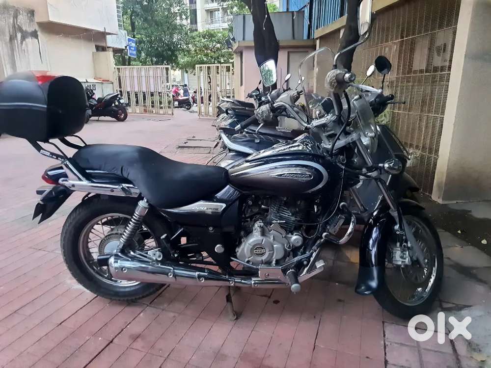 Bajaj  Avenger with studds top box 2019